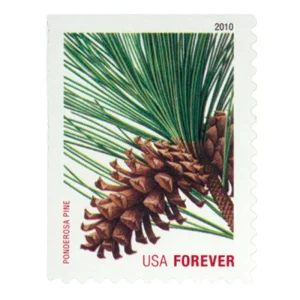 Forever Stamps 2010 Holiday Evergreens – Seasonal Celebration, First-Class Postage
